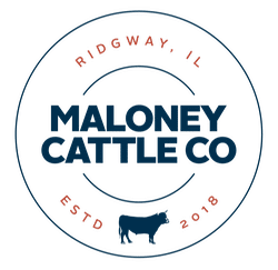 cattle feeders | maloney cattle company