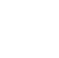 cattle production | maloney farms inc | cattle feed