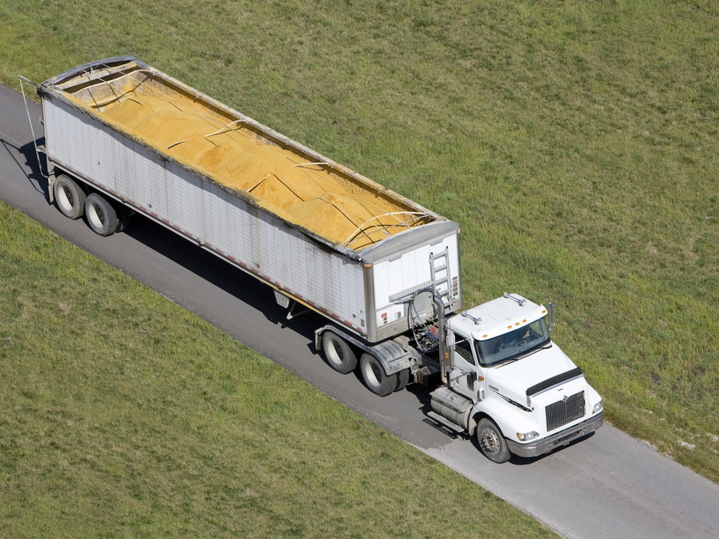 Maloney Cattle | Bulk Feed Commodities